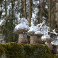 In einem Wald auf einem bemoosten Stein stehen mehrere Pilze mit großen Aluminiumköpfen bzw. Schirmen.