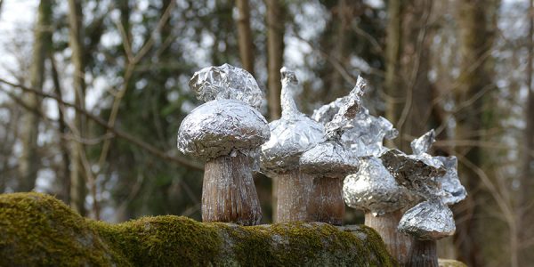 In einem Wald auf einem bemoosten Stein stehen mehrere Pilze mit großen Aluminiumköpfen bzw. Schirmen.