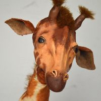 Eine Giraffenpuppe schaut mit schrägem Kopf in die Kamera.